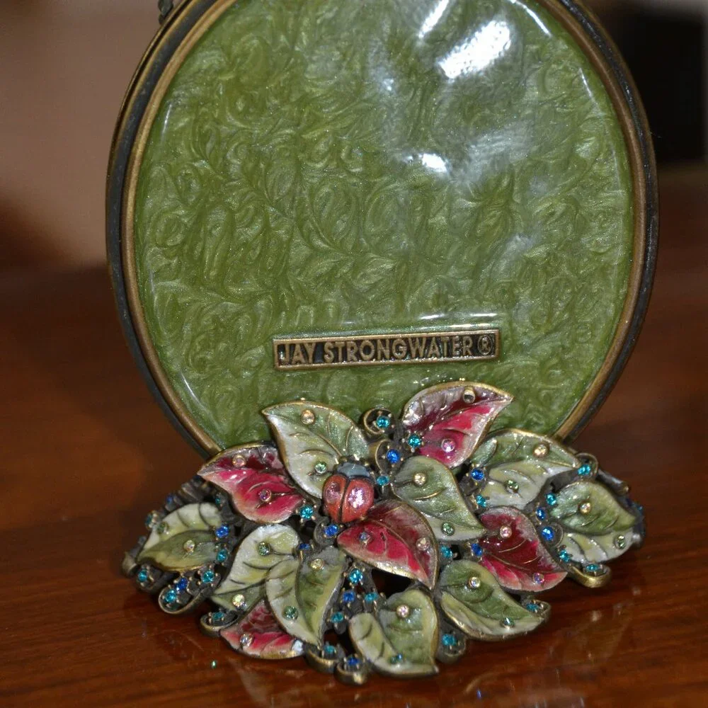 RARE JAY STRONGWATER DRAGONFLY LILY FLOWER FLORAL LEAF  ENAMEL CRYSTAL FRAME